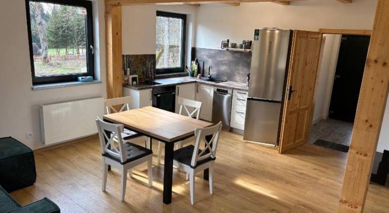 Charming rental apartment with terrace & garden | Dogs allowed in Plzen