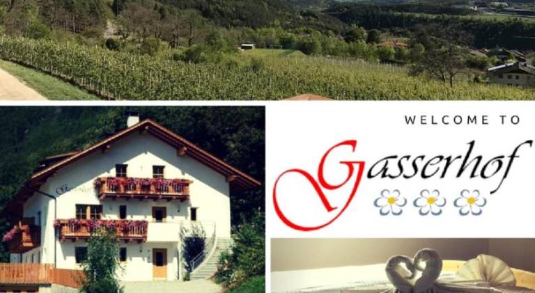 Gasserhof Aicha in Naz Sciaves