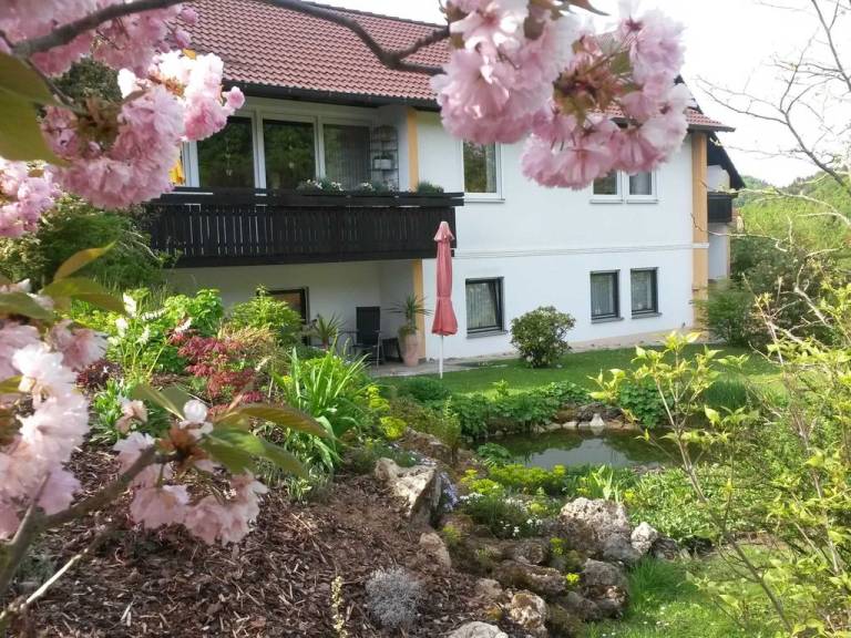 foto24