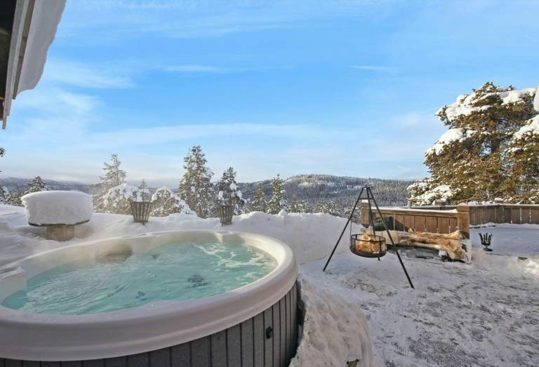 Log cabin with hot tub in Rauland — photo 2