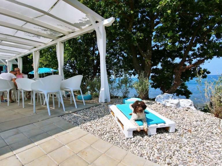 Holiday apartment with patio | Pets allowed — photo 3