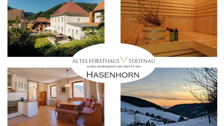 Ferienwohnung Todtnau
