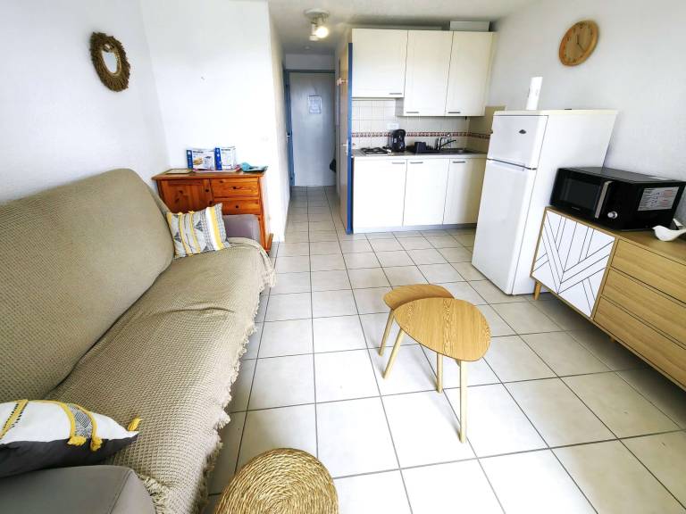 Holiday apartment with pool in Agde
