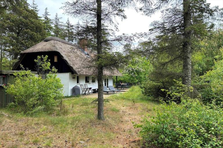 Ferienhaus mit Hund inUlfborg, Dänische Nordseeküste  f&uuml;r max. 4 Personen