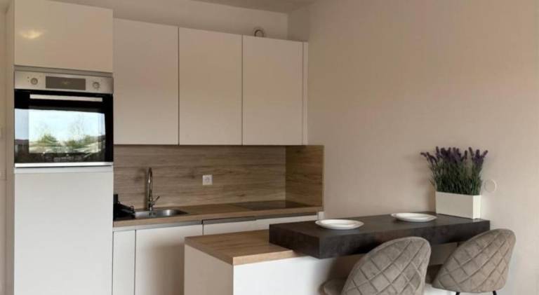 Rental apartment with 1 room for 3 persons — photo 2