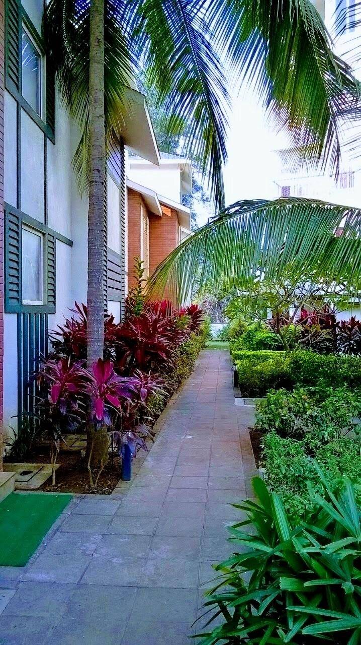 foto14