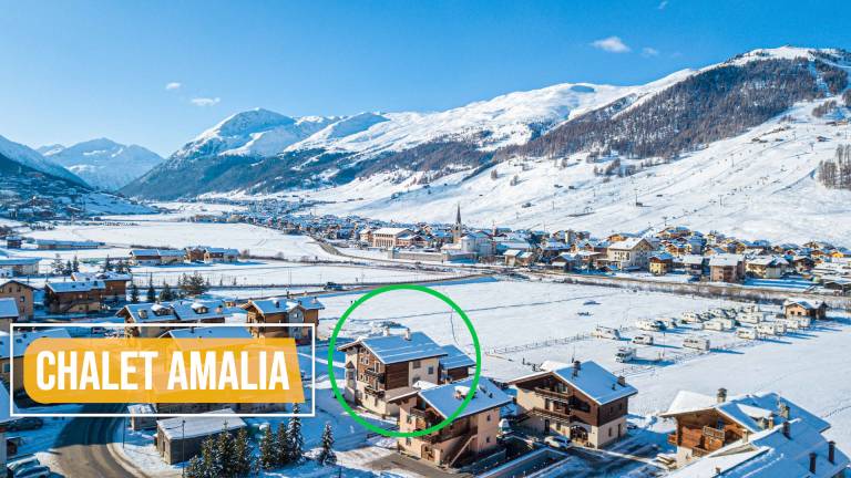 Sunshine and tranquility for your stay at Chalet Amalia — photo 5