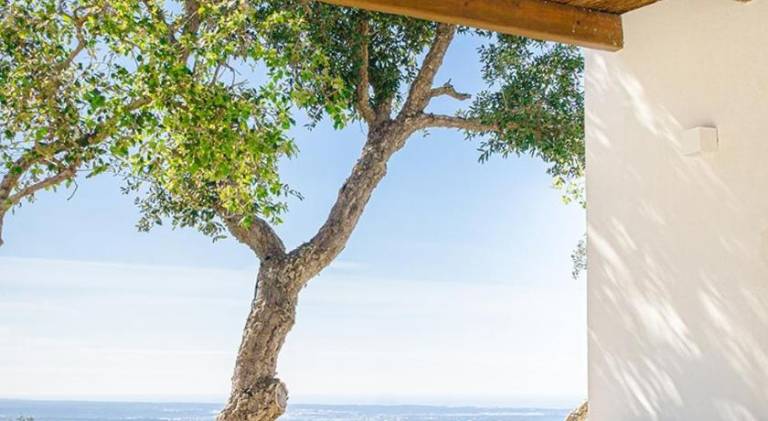Pleasant villa with pool | Dogs allowed — photo 4