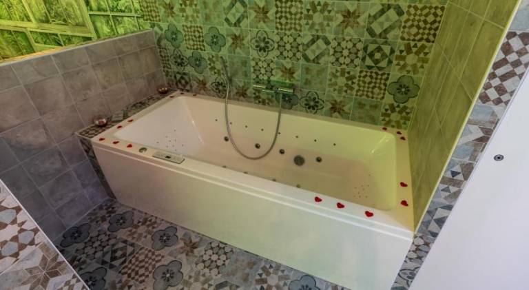 Cotinga — photo 3
