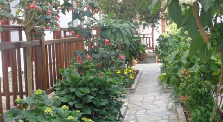 foto35
