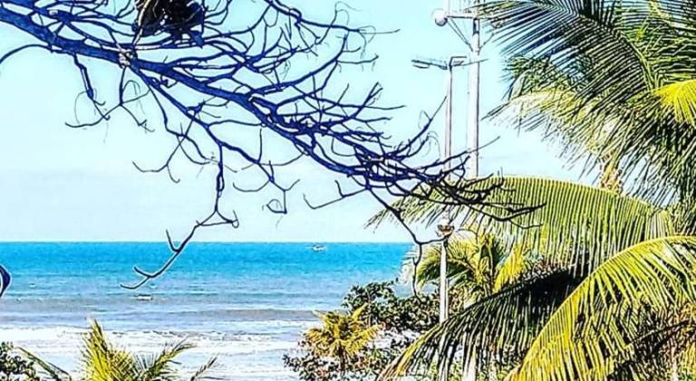 Beautiful vacation home with yard & terrace | Close to the beach | Suitable for remote work | Dogs allowed — photo 3