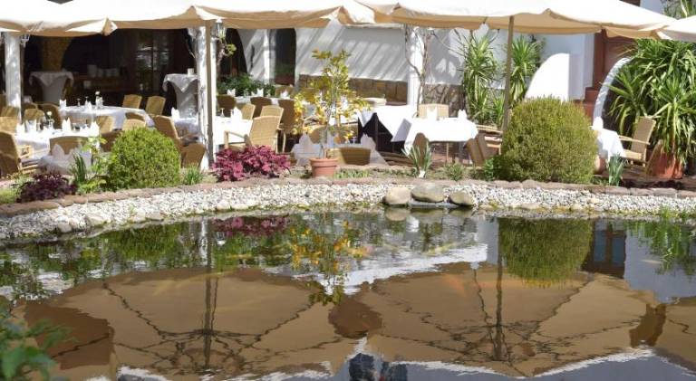 Winzergarten Hotel-Restaurant — photo 4