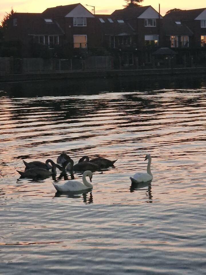 foto16