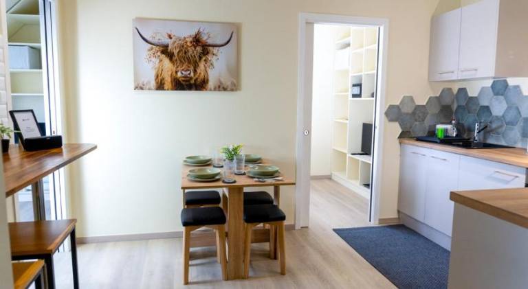 Nice rental apartment | Pet-friendly in Offenburg