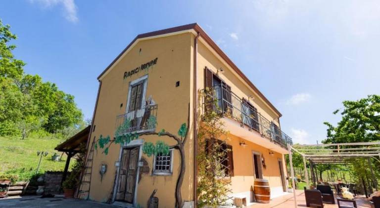 Farm with 1 room for 3 persons in Avellino