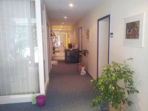 foto17