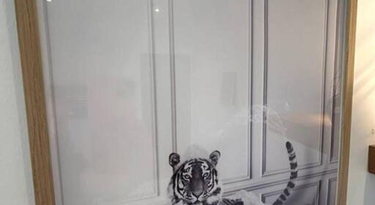 Nice rental apartment | Pet-friendly — photo 5