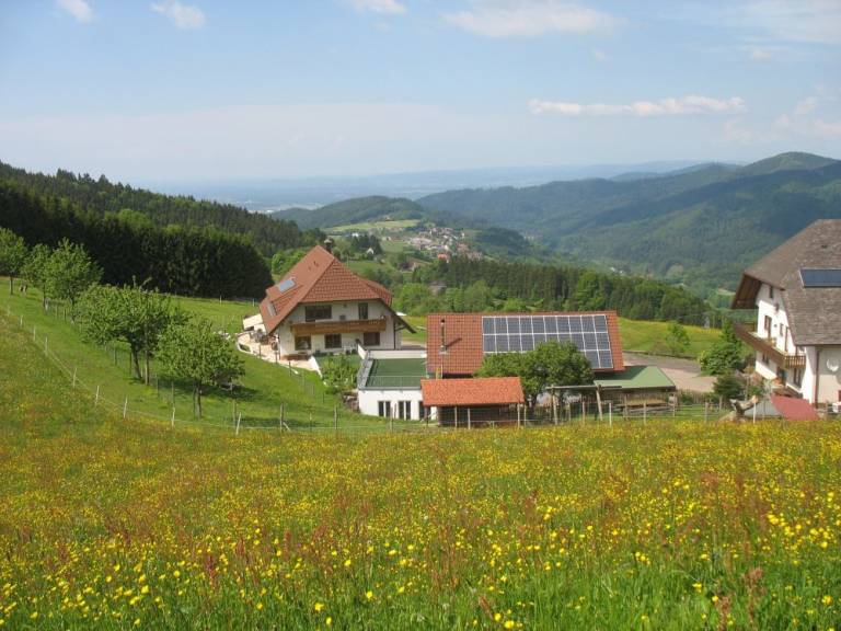 foto5