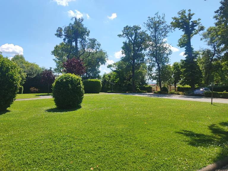 foto45