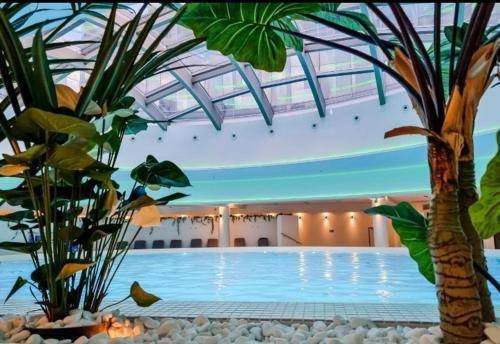 Hanza Tower DIAMOND 24 SPA & Pool & Sauna & Jacussi — photo 5