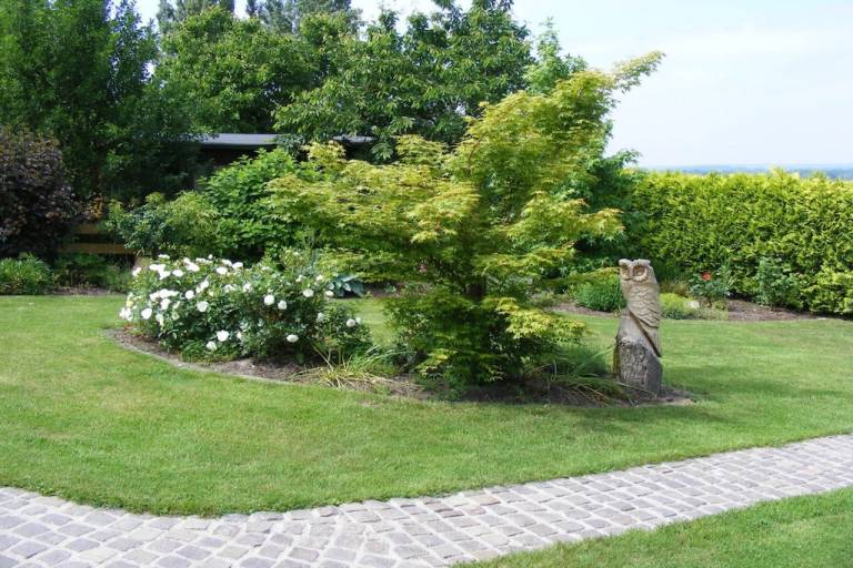 foto7