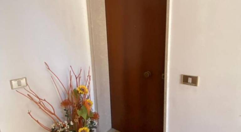 Rental apartment | Pets are welcome — photo 5