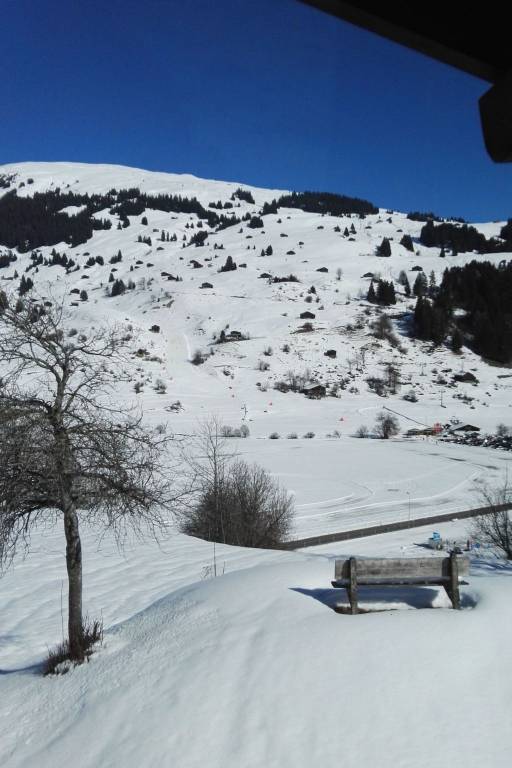 foto11