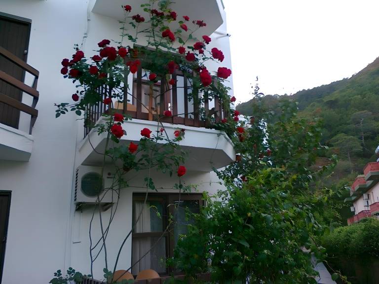 foto24