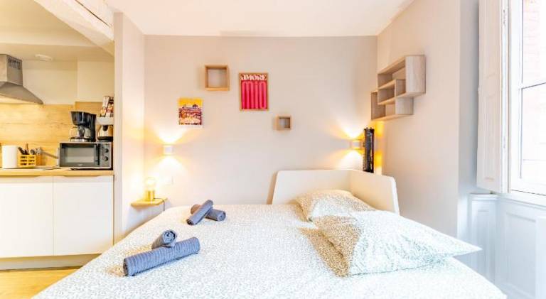Charming holiday apartment | Close to Capitole de Toulouse | Pets are welcome in Toulouse