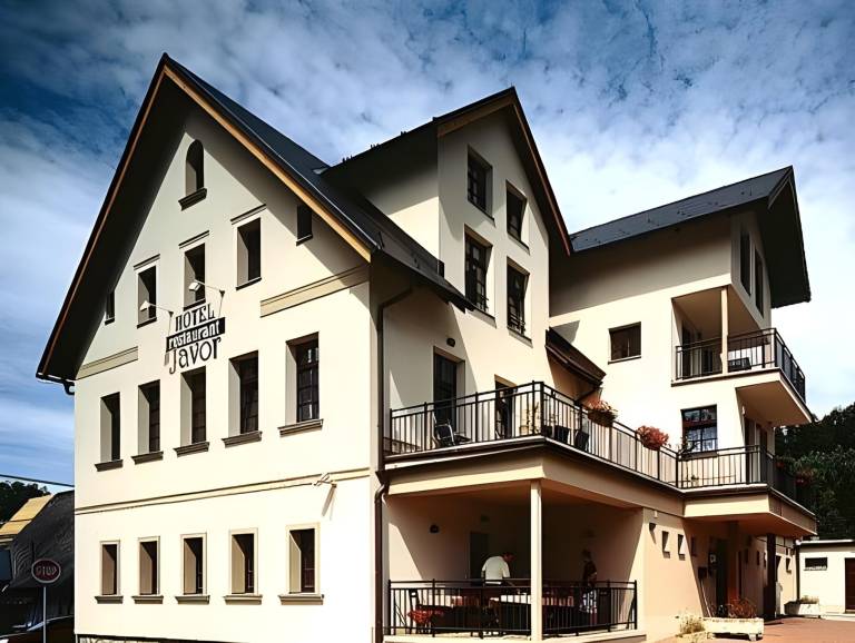Hotel Javor
