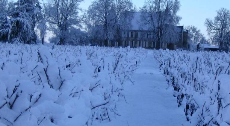 La chambre de la Tour — photo 4