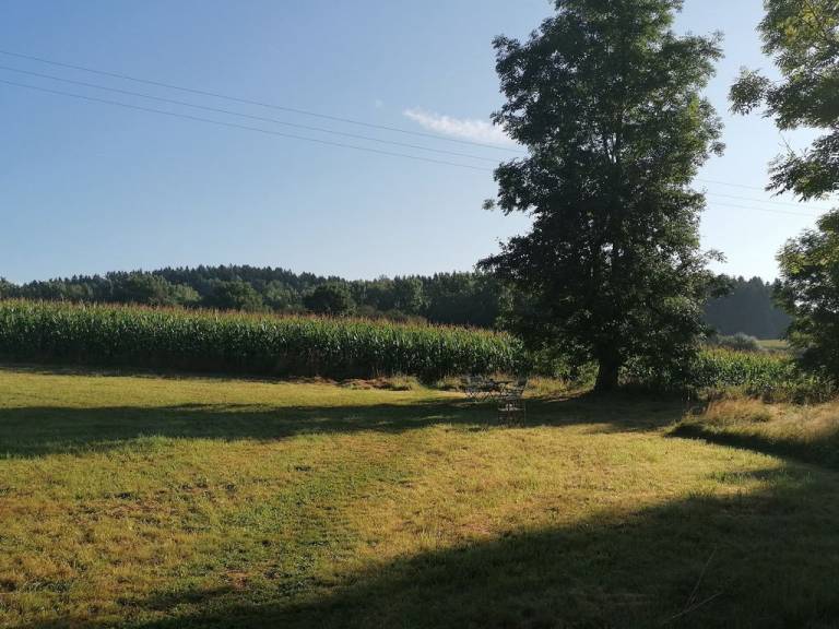 foto31