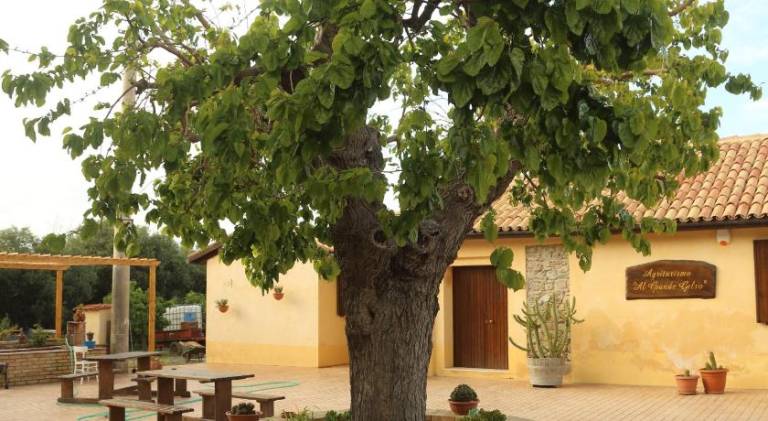 Farm with garden & grill in Cariati