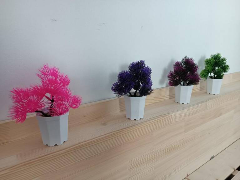 foto23