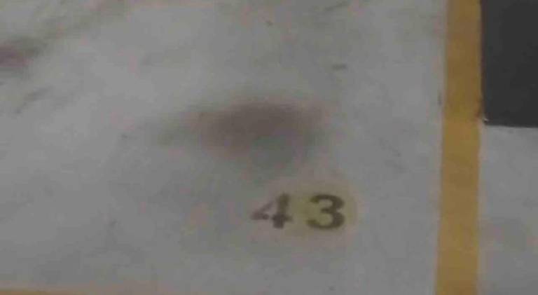 foto41