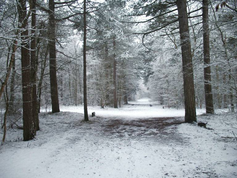 foto18
