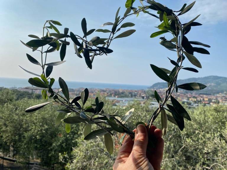 Privatzimmer Monade Santa Lucia