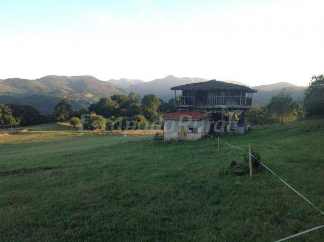 foto48