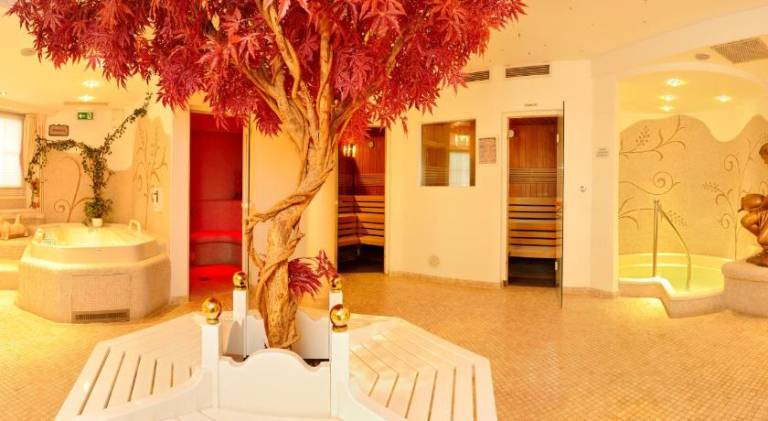 Hotel Almhof — photo 4