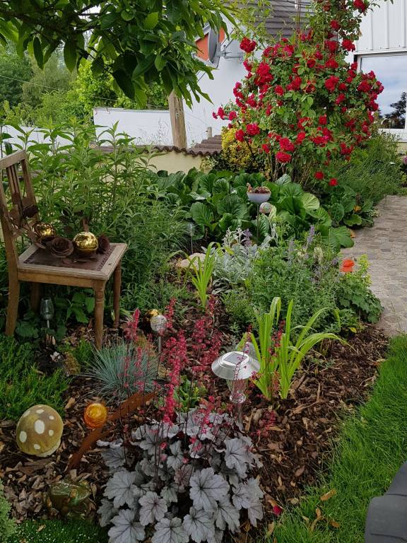 foto26
