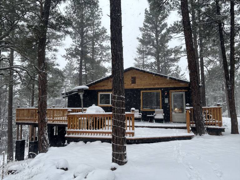 Show Low Vacation Rentals from 65 HomeToGo