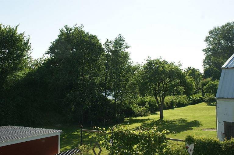 Ferienwohnung Seeblick — photo 3
