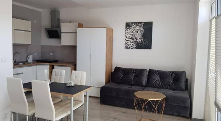 Holiday apartment with pool | Next to the beach | Dogs allowed in Darlowo