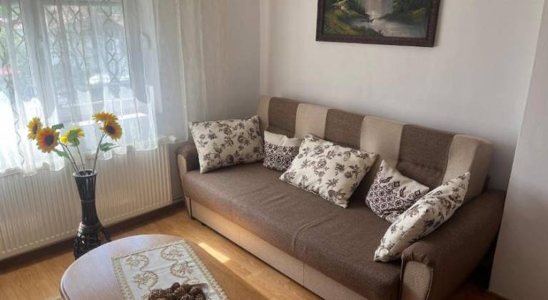 Nice rental apartment | Pet-friendly in Brasov