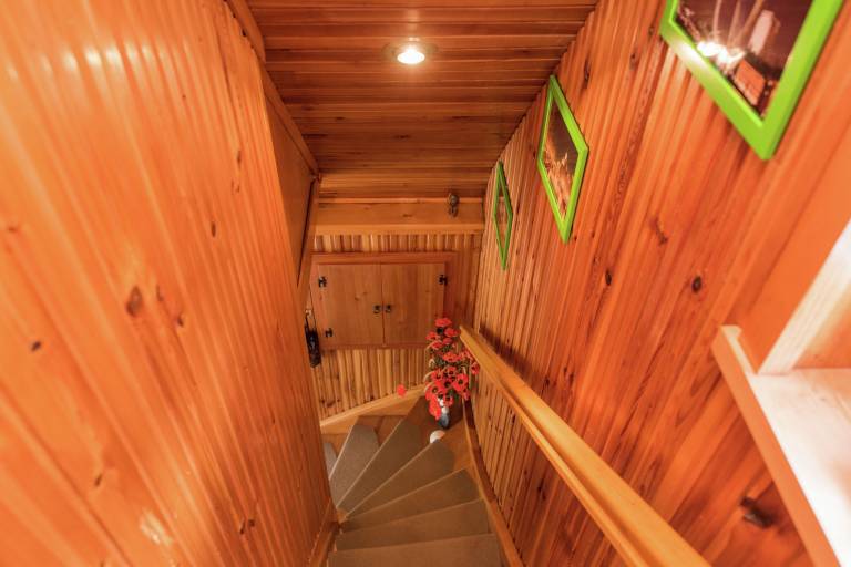 foto7
