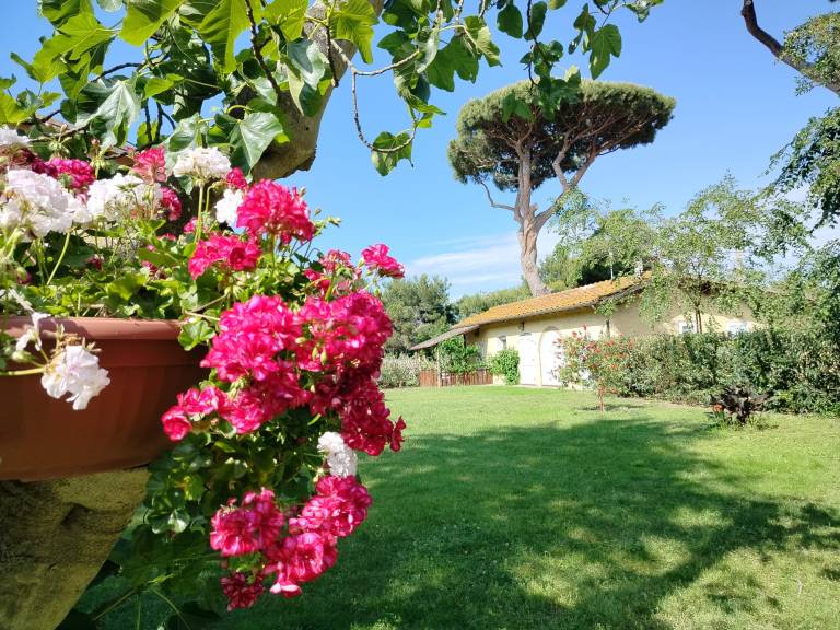I Cavalleggeri: Varenne — photo 3