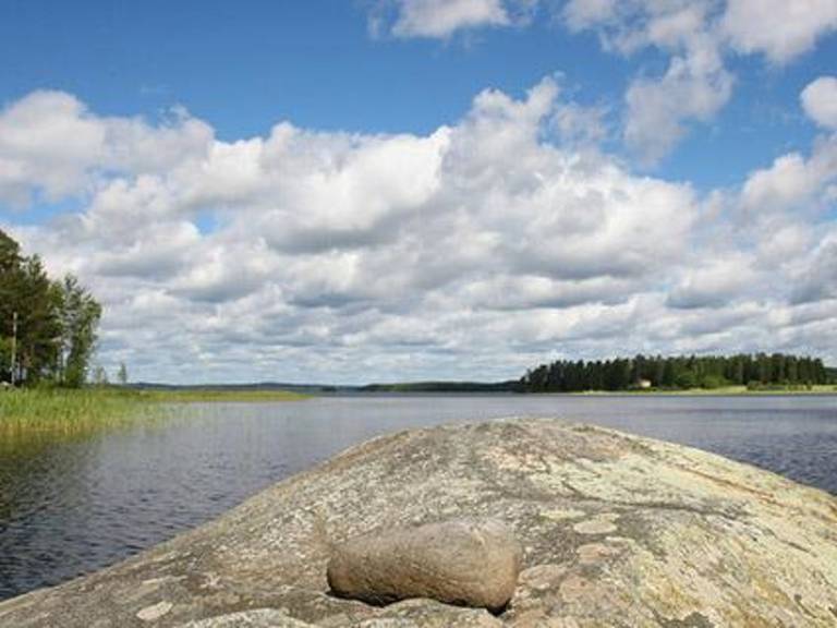 House with sauna | Nature view | Pet-friendly — photo 2