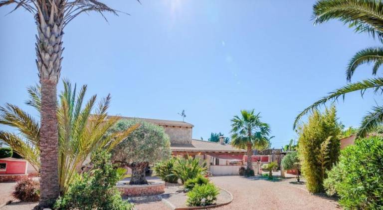 House with pool in Llucmajor