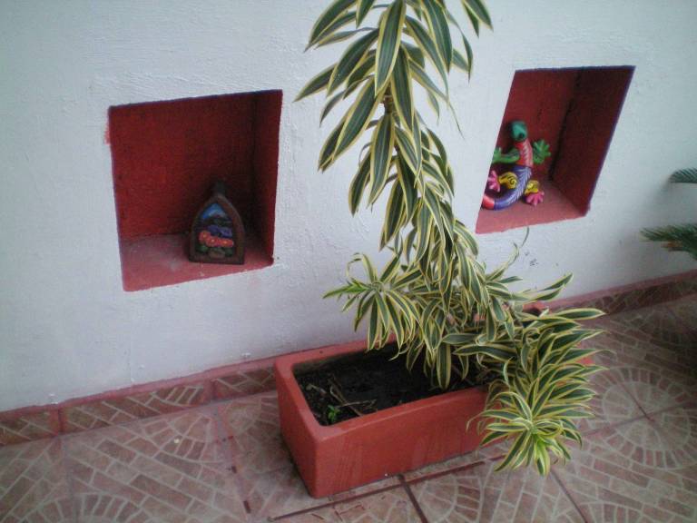 foto9