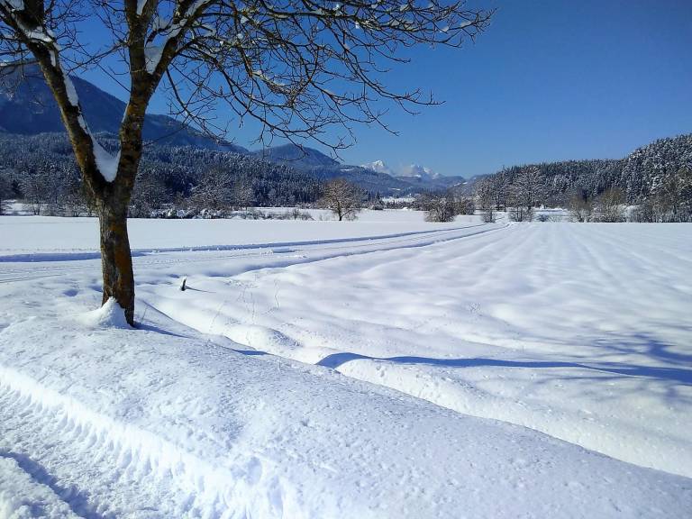 foto9
